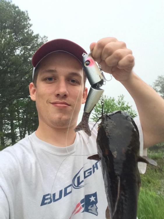 bullhead slammer.jpg