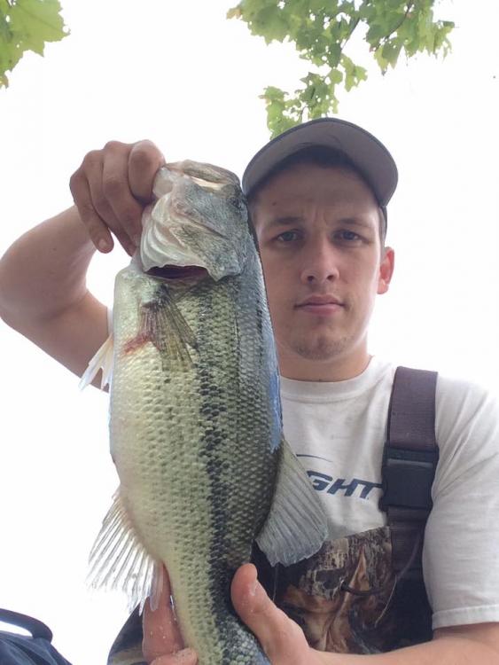 3lbs chunk.jpg