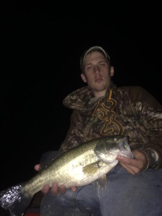 3lbser night.jpg