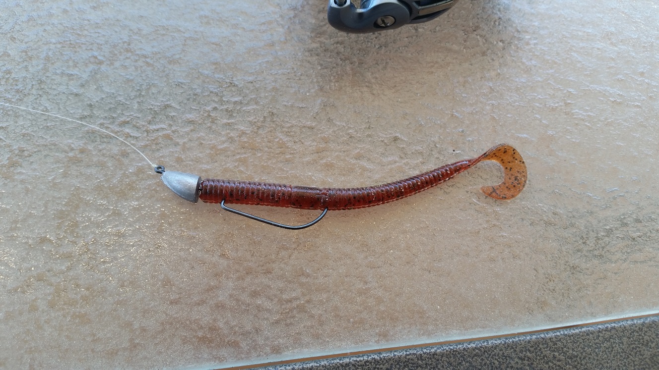 Anyone fish curly tail worms? - Fishing Tackle - Bass Fishing Forums