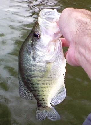 130503_0000.jpg