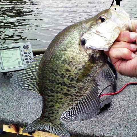 130510_0000.jpg