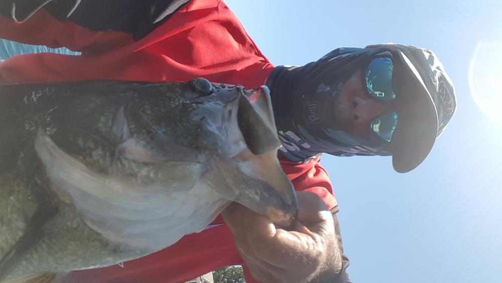 5 lb 5 oz bass 7-19-16.jpg