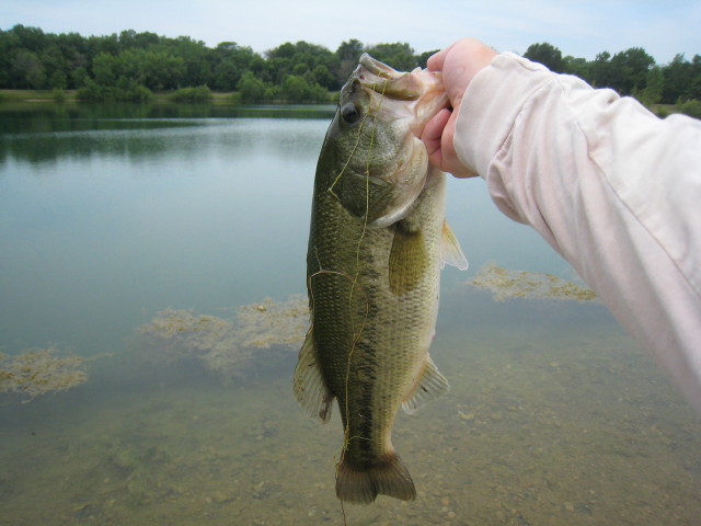 IMG_2660.jpg