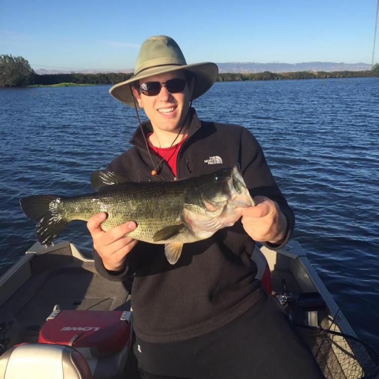 fish.jpg