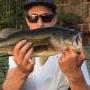 Kingfisher21
