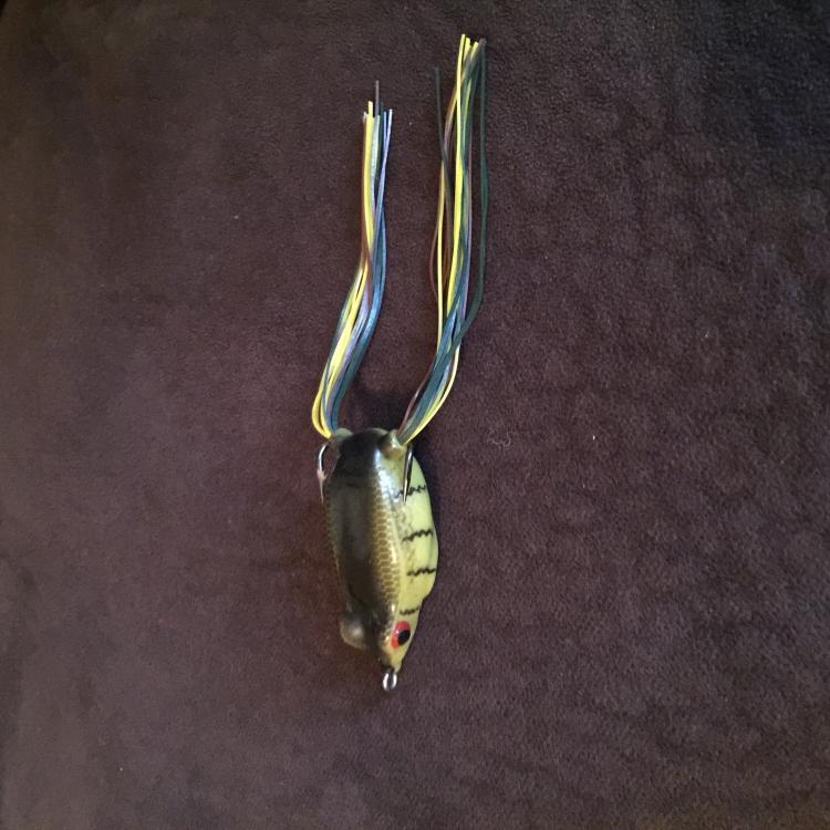 image.jpeg