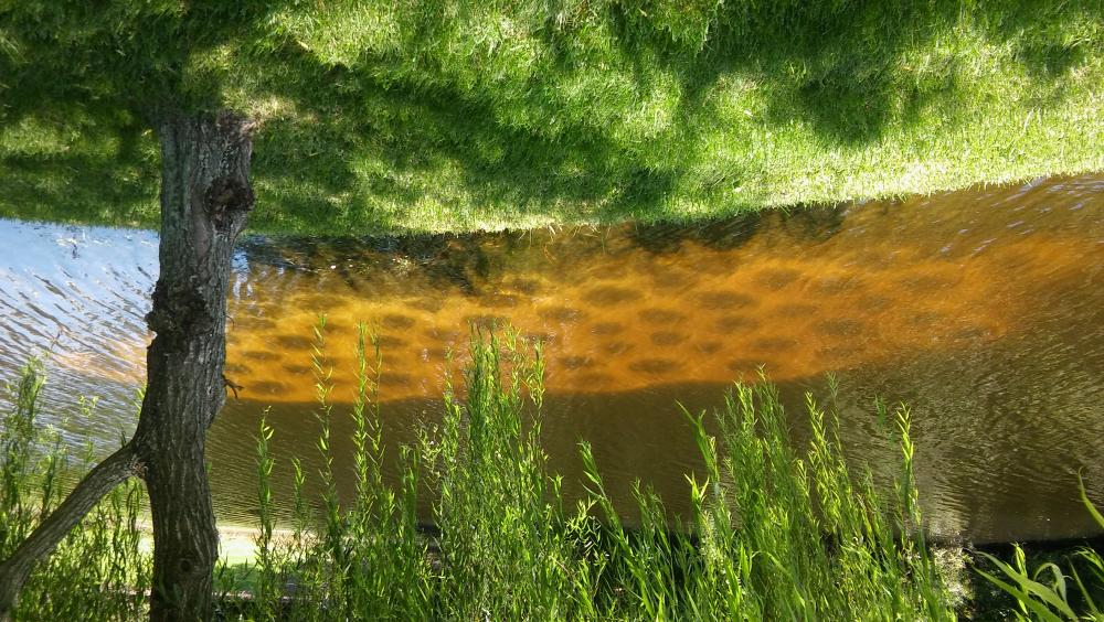 20160812_132604.jpg