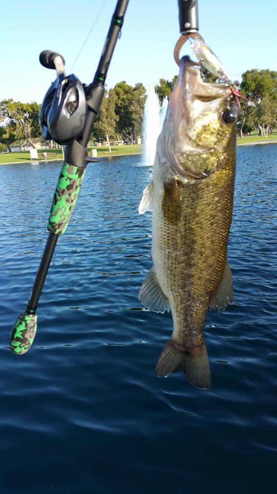 Looking to get a good, all around bait casting rod - Fishing Rods, Reels,  Line, and Knots - Bass Fishing Forums