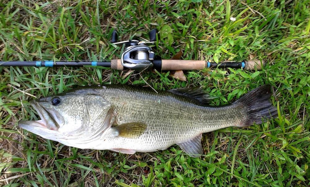 2016-07-13 23in 6.74lb LMB Pomeroy.jpg