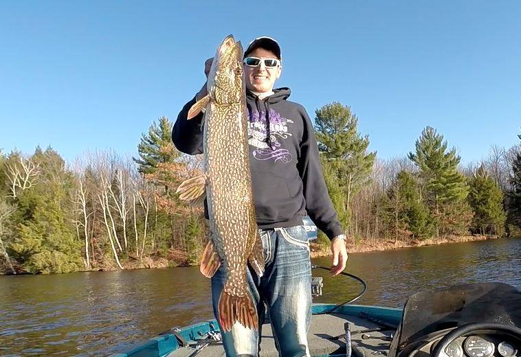 34 inch.jpg