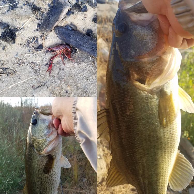 Fishing.jpg