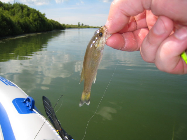 IMG_2722.jpg