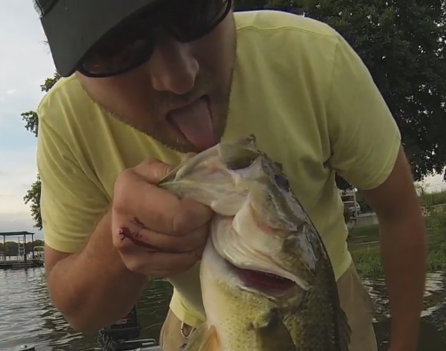 djbass.PNG