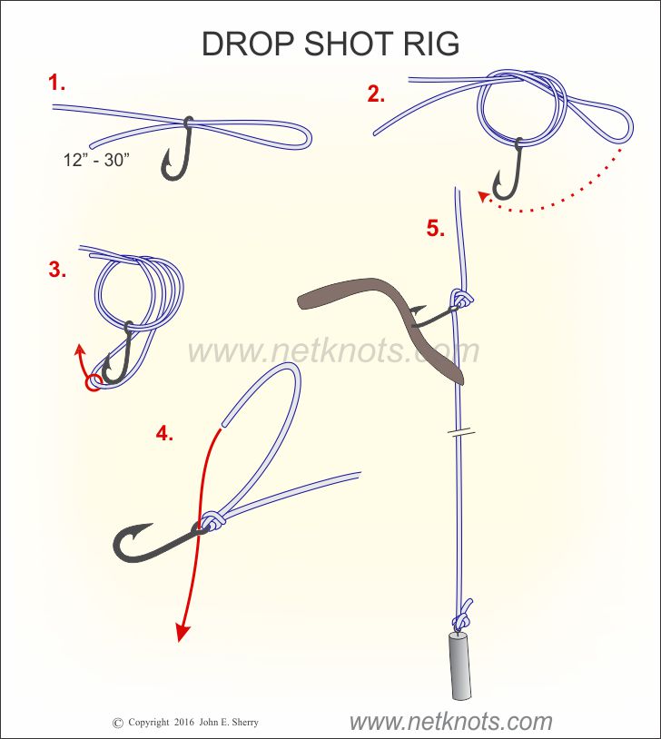 Dropshot Knot Trouble - Fishing Rods, Reels, Line, and Knots - Bass Fishing  Forums