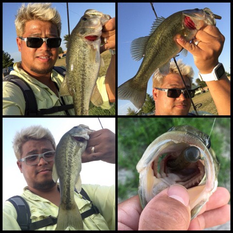 pj_fishing.png