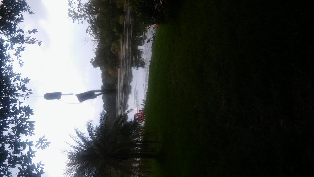 20160916_191324.jpg
