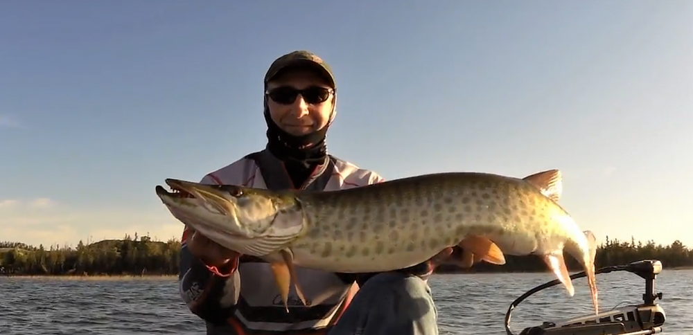 57dc6754d4890_Muskygarmin2.thumb.png.5edd700f21236c09649393cf6911db30.png