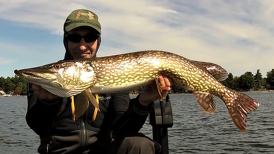 28 Sept 2016 Pike (2).png