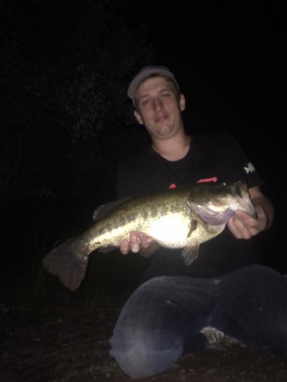 6lber.jpg