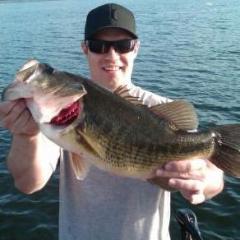 DJFISH