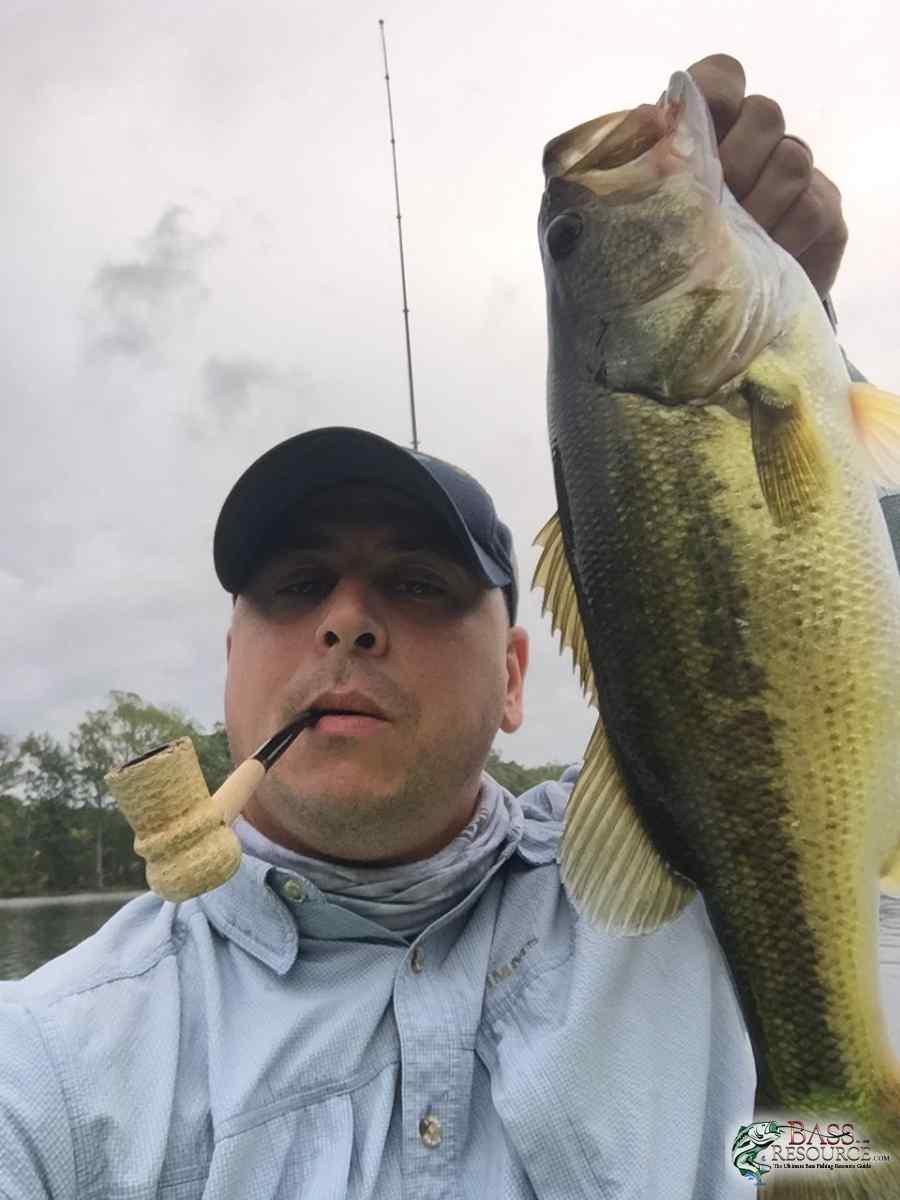 9/4/2016