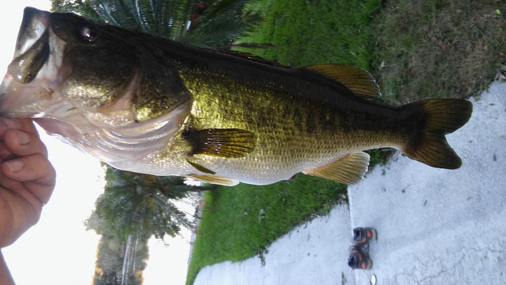 20161008_184549.jpg