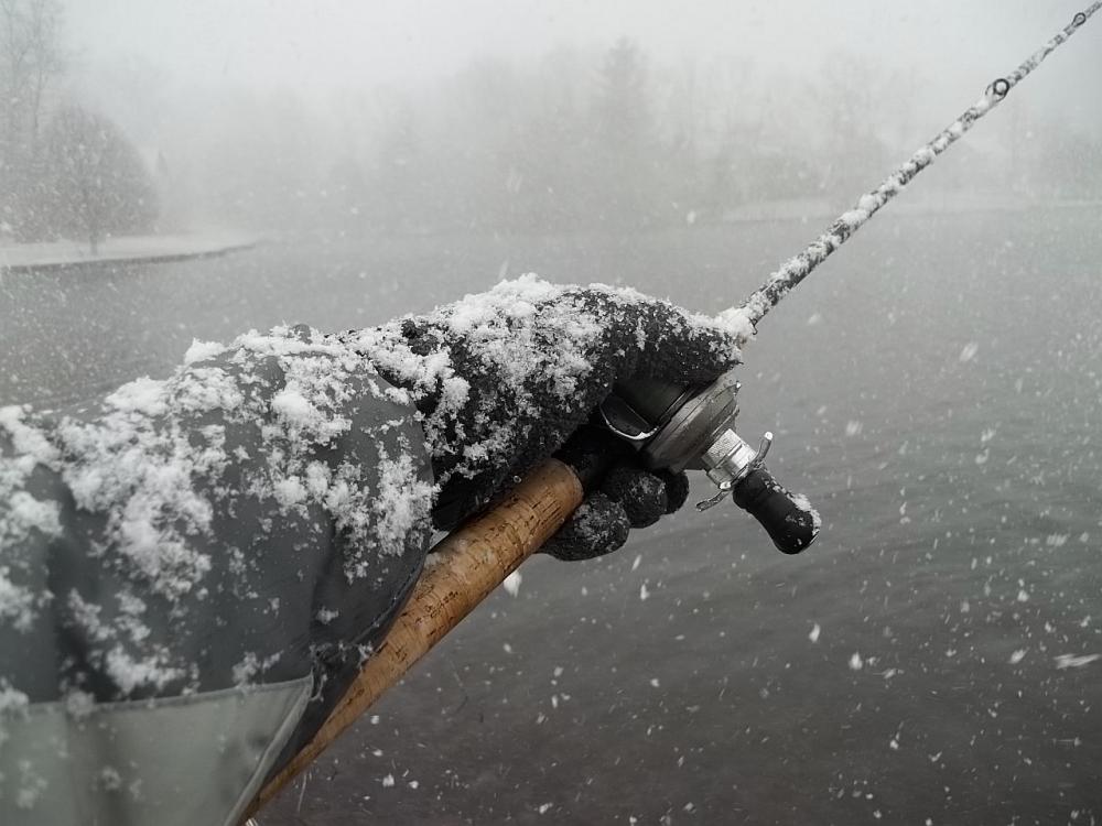 2014-01-21 PQ at Pomery in Snow1.JPG
