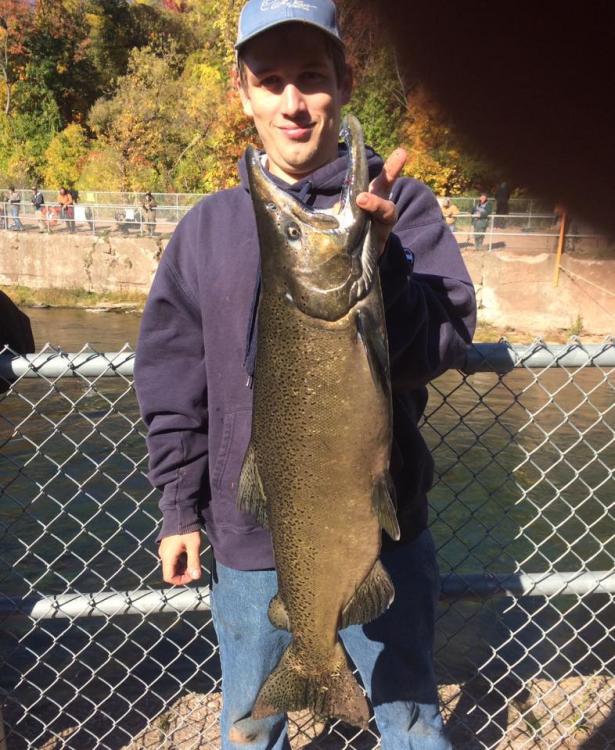 12lb king.jpg