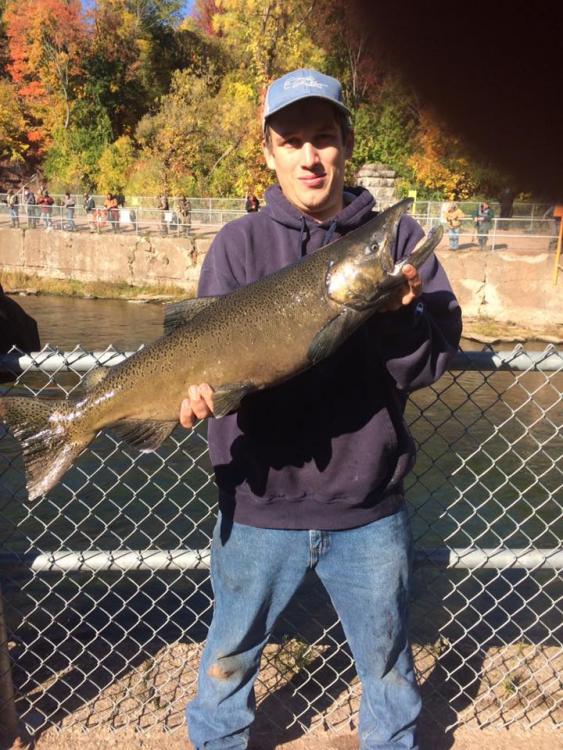 12lbs male king.jpg