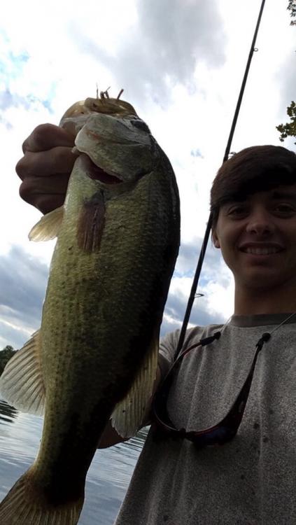 IMG_3843.jpg