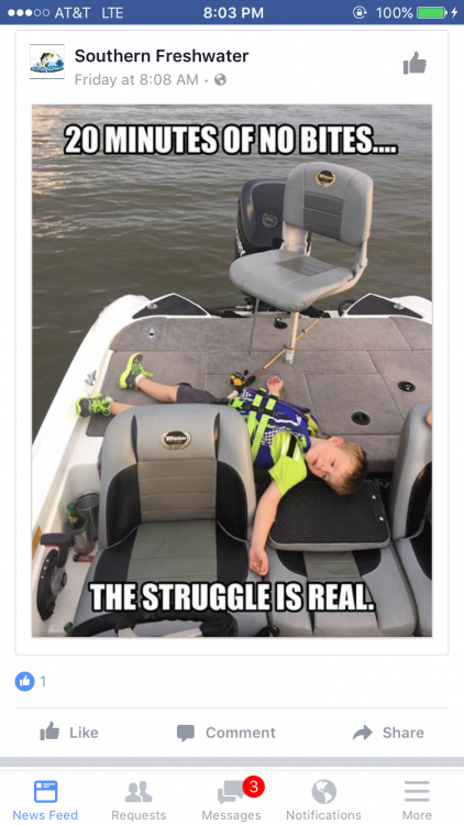 IMG_8980.PNG