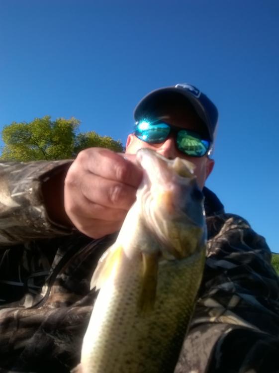 WP_20161008_08_28_41_Selfie.jpg