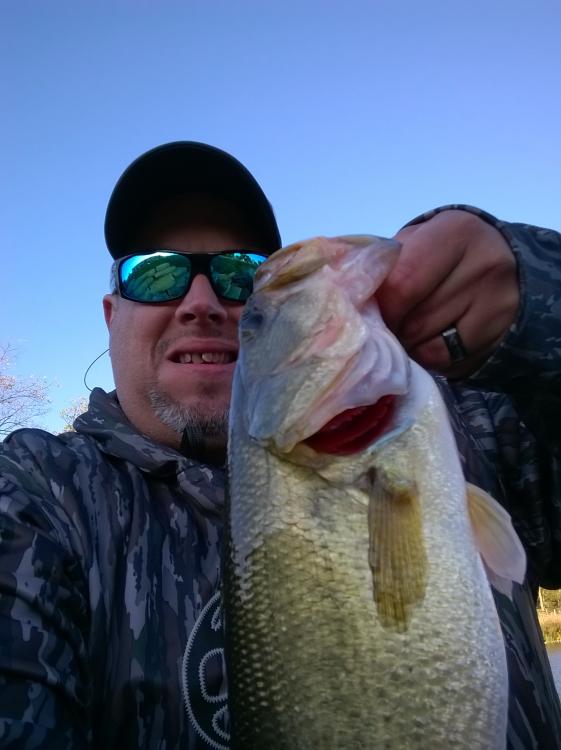 WP_20161009_17_21_30_Selfie.jpg