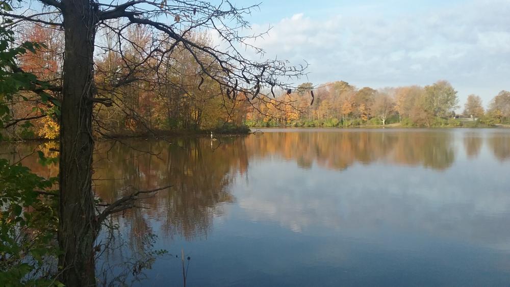 20161101_095603.jpg