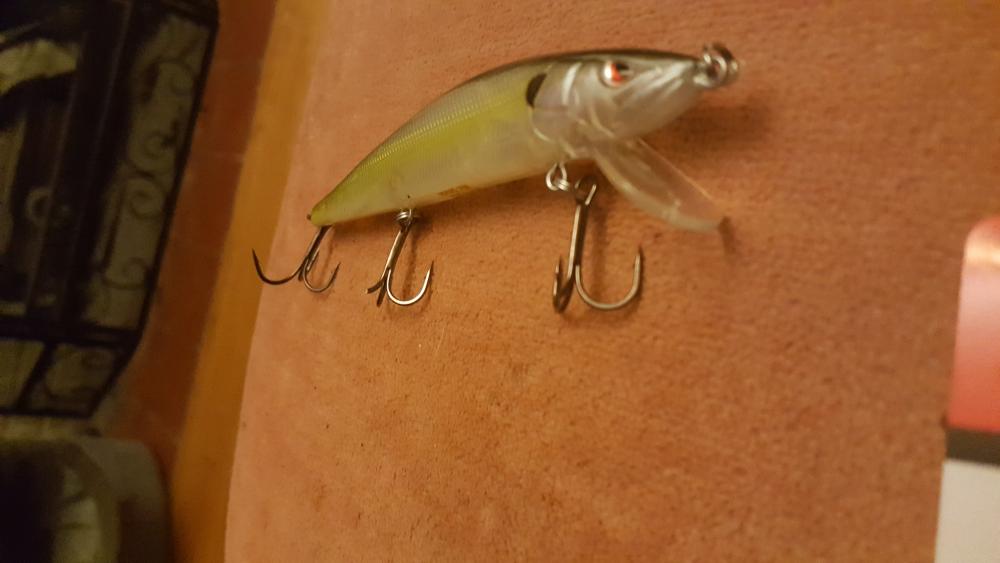 20161105_002328.jpg