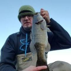 Bass Pro XPS square bill - Fishing Tackle - Bass Fishing Forums