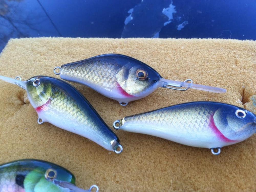 foiled bait4.jpe