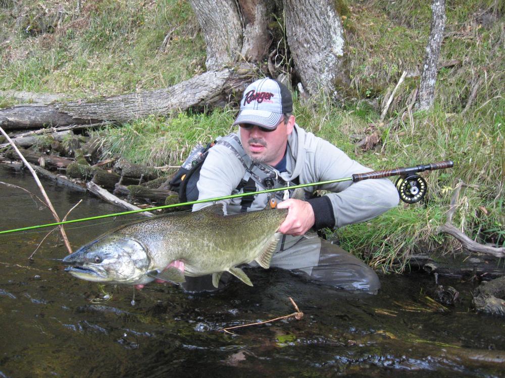 34 King Salmon.JPG