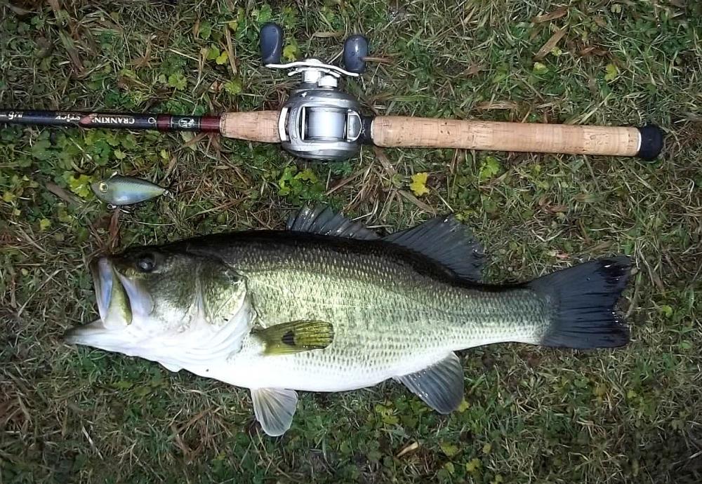 2012-01-11 21in 5.02lb LMB CatherineE.JPG