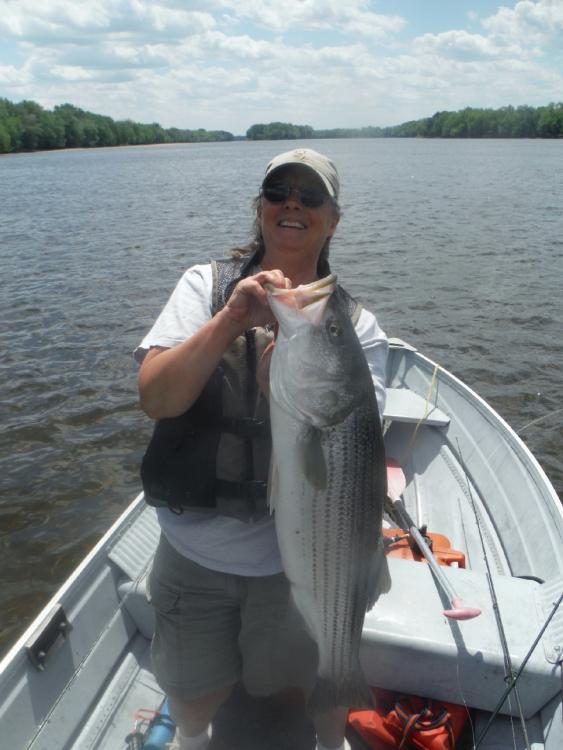 May 22 CTR 1Stripers 2015.jpg