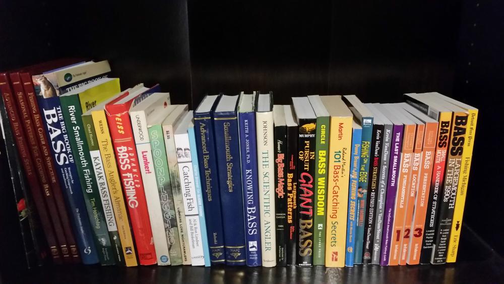 BassShelf.jpg