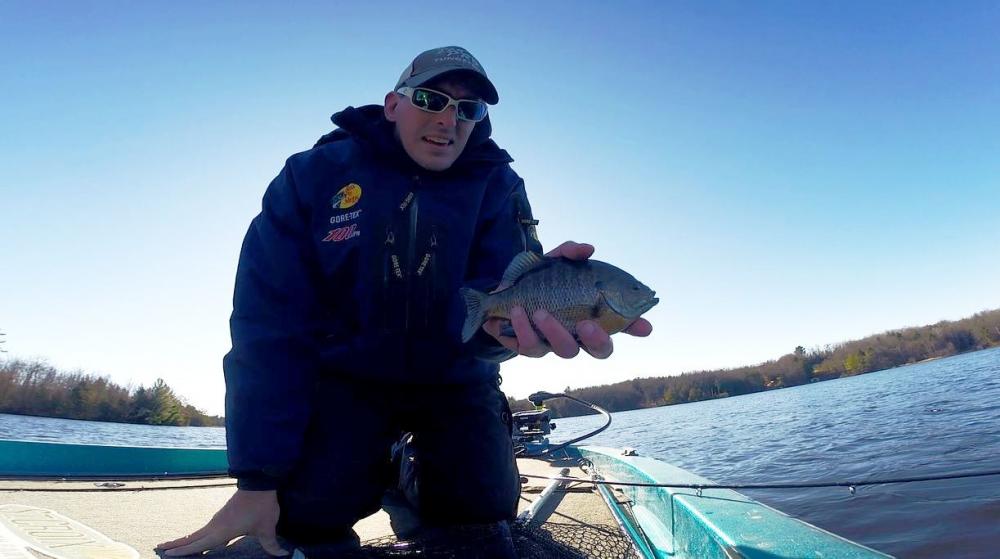 Bluegill.JPG