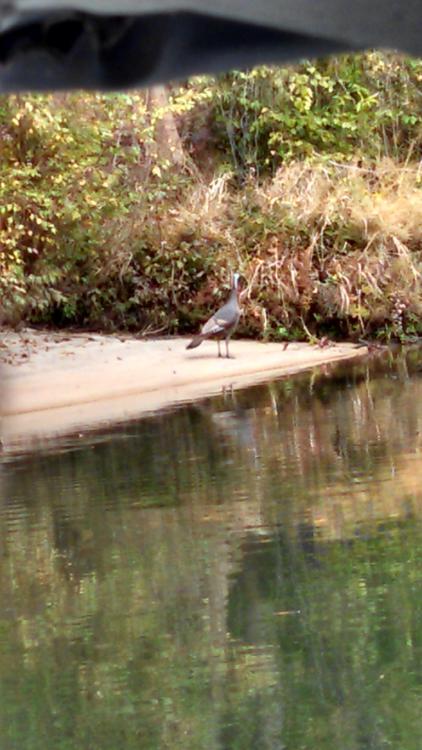 IMG_20161125_120137_638.jpg