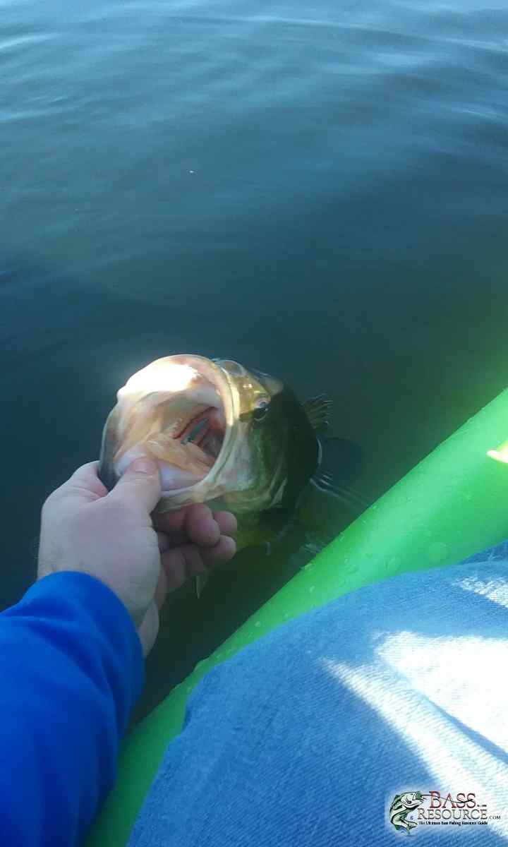 Fall bassin'