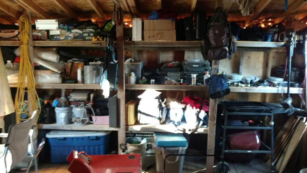 shelves.jpg