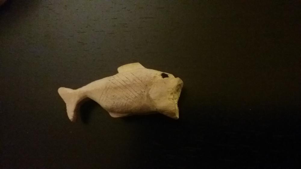 20161214_090534.jpg