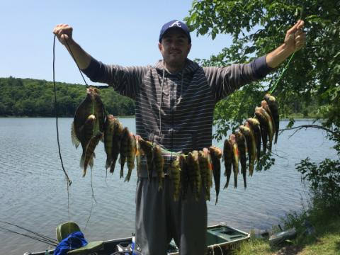 fish fry =).jpg