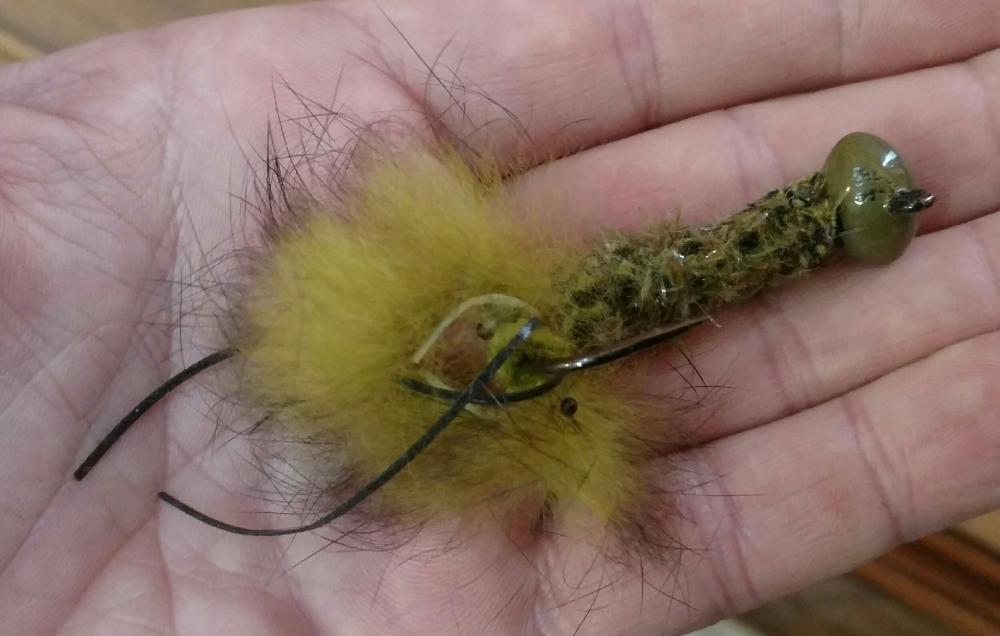 green craw.jpg