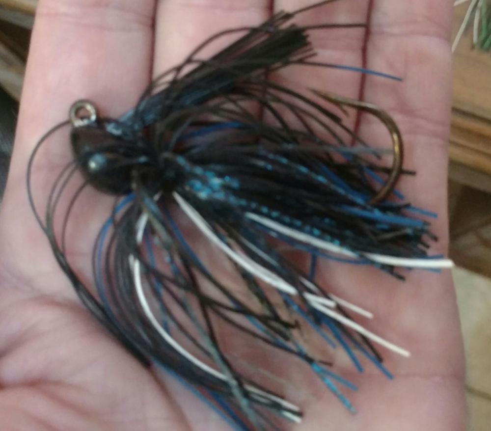 blue jig.jpg